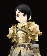 Holy Knight Vest - Toram Online Item | Coryn Club